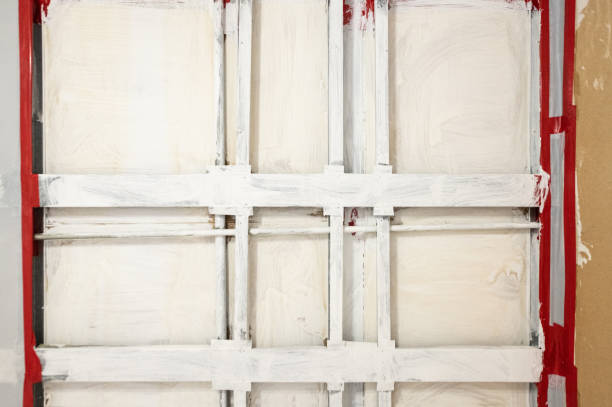 Best Comprehensive Air Testing for Mold Contaminants  in Lihue, HI